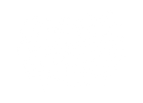 DOCTOR RIMS®